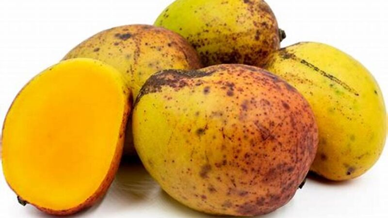 6 bienfaits de la mangue sur la santé