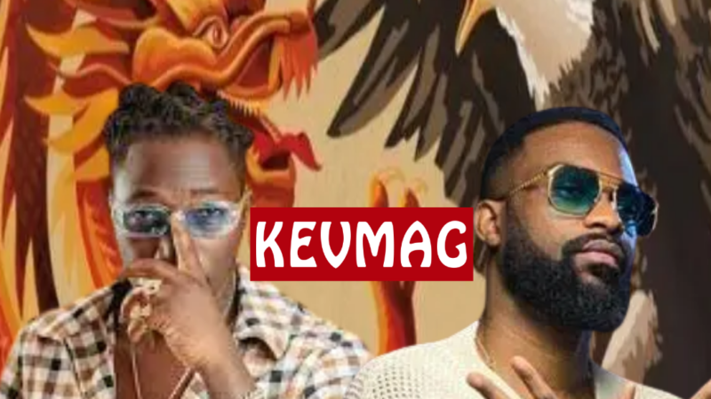 le Dragon et l’aigle, les mélomanes ont du mal à trancher entre RJ Kanierra et Fally Ipupa.