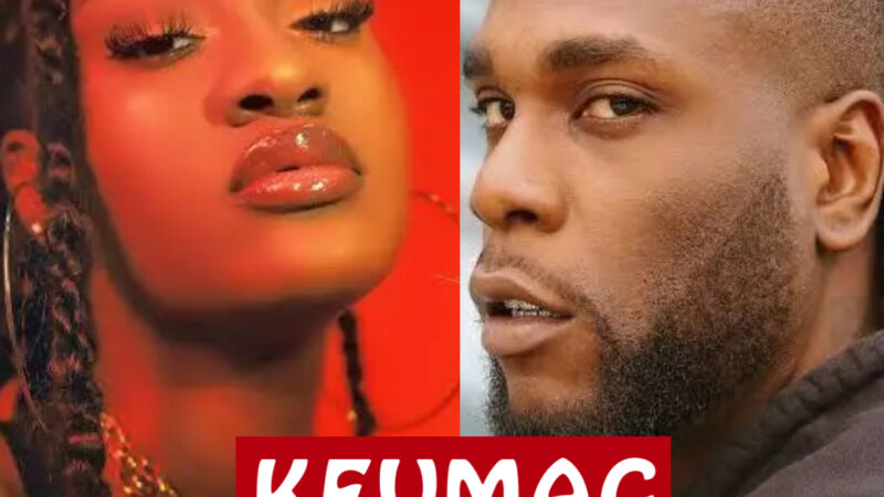 Grammy Award : Burnaboy perd, Tems gagne.